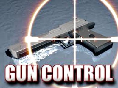 Why gun control is not a solution